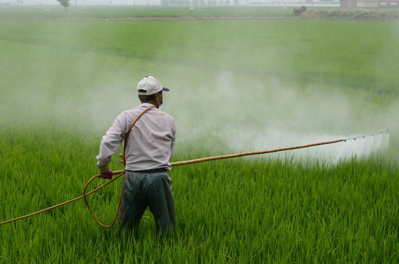 Farmer spreading pesticide